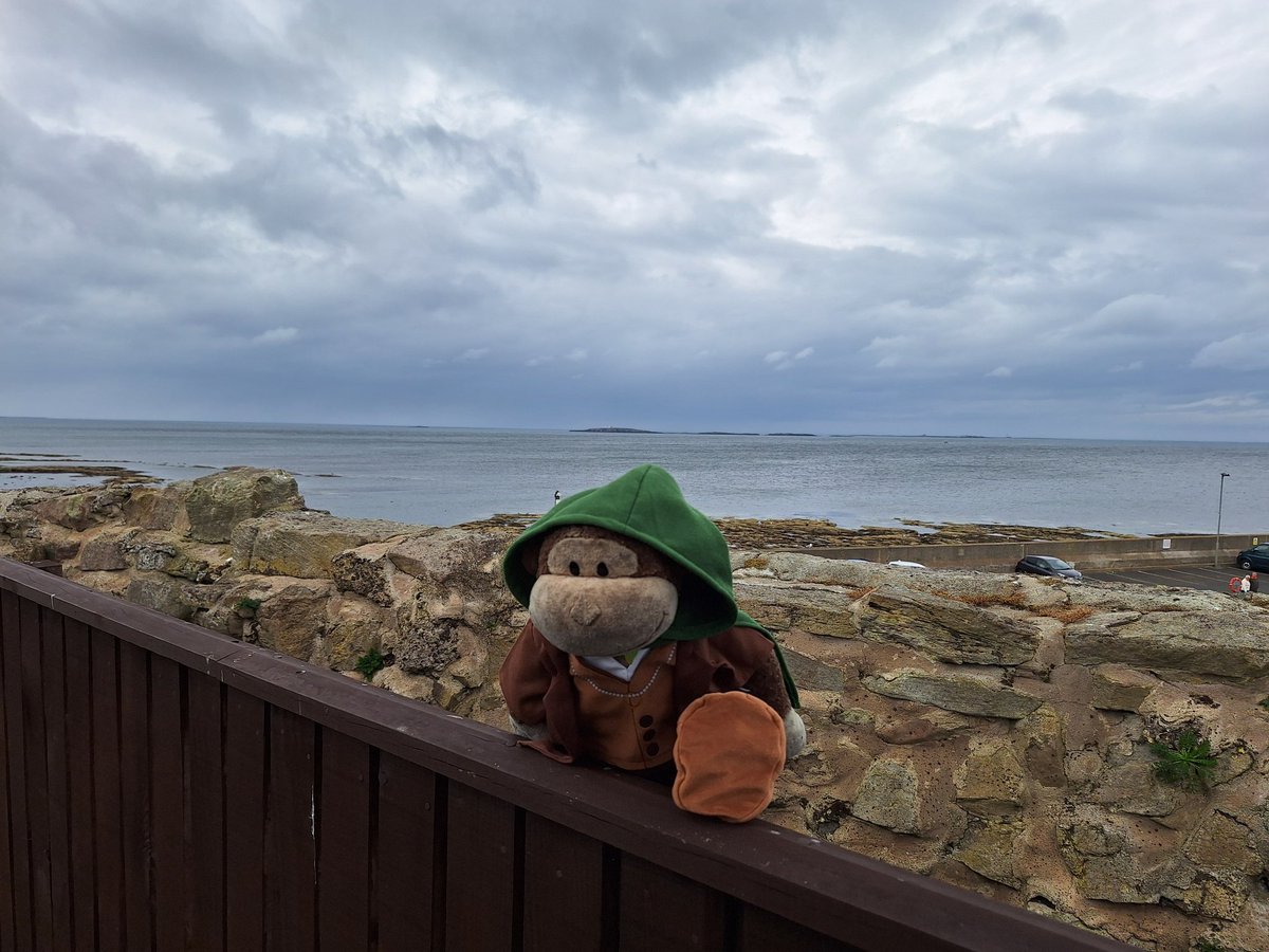 Nick Preston tweet media