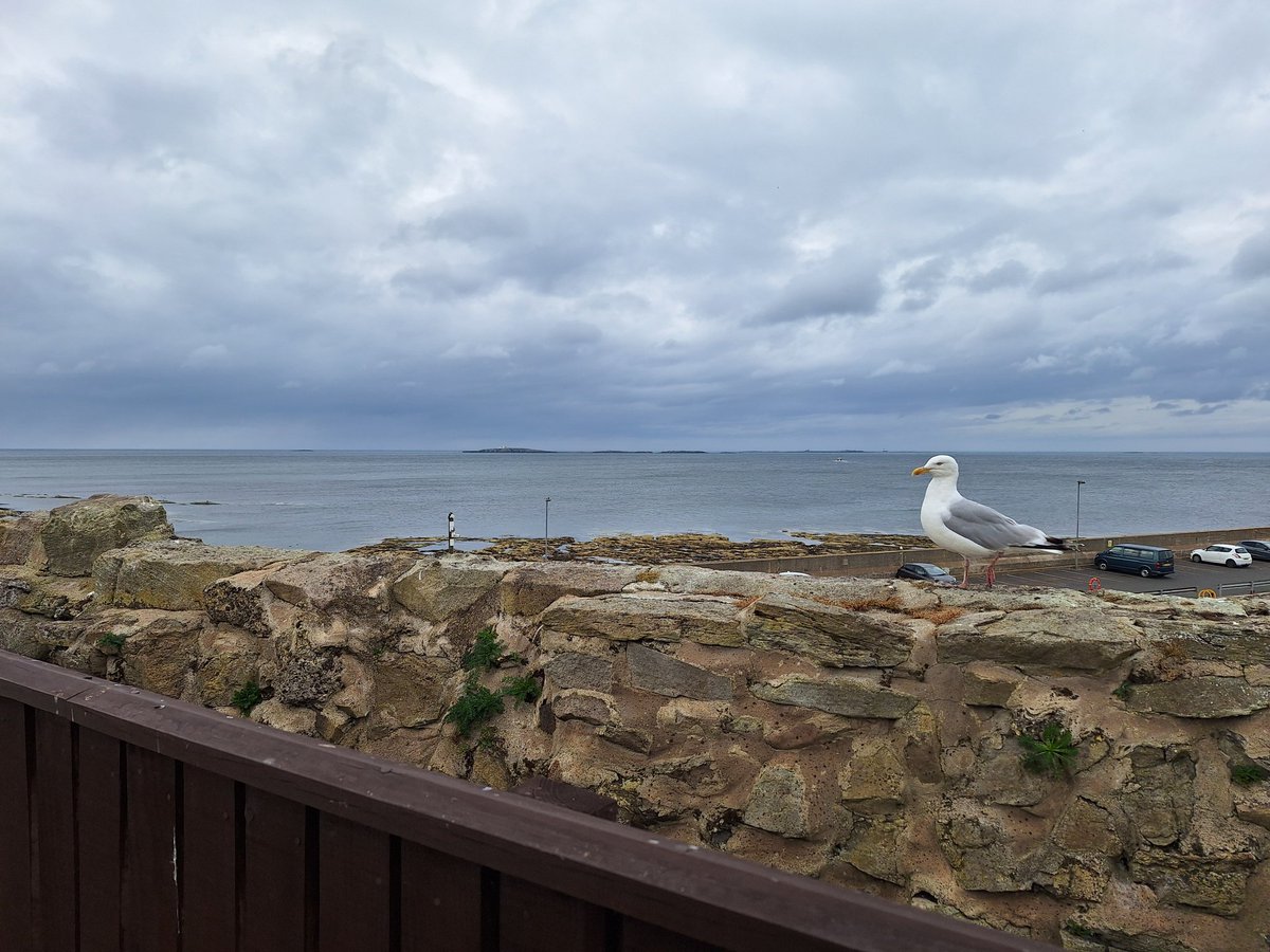 Nick Preston tweet media