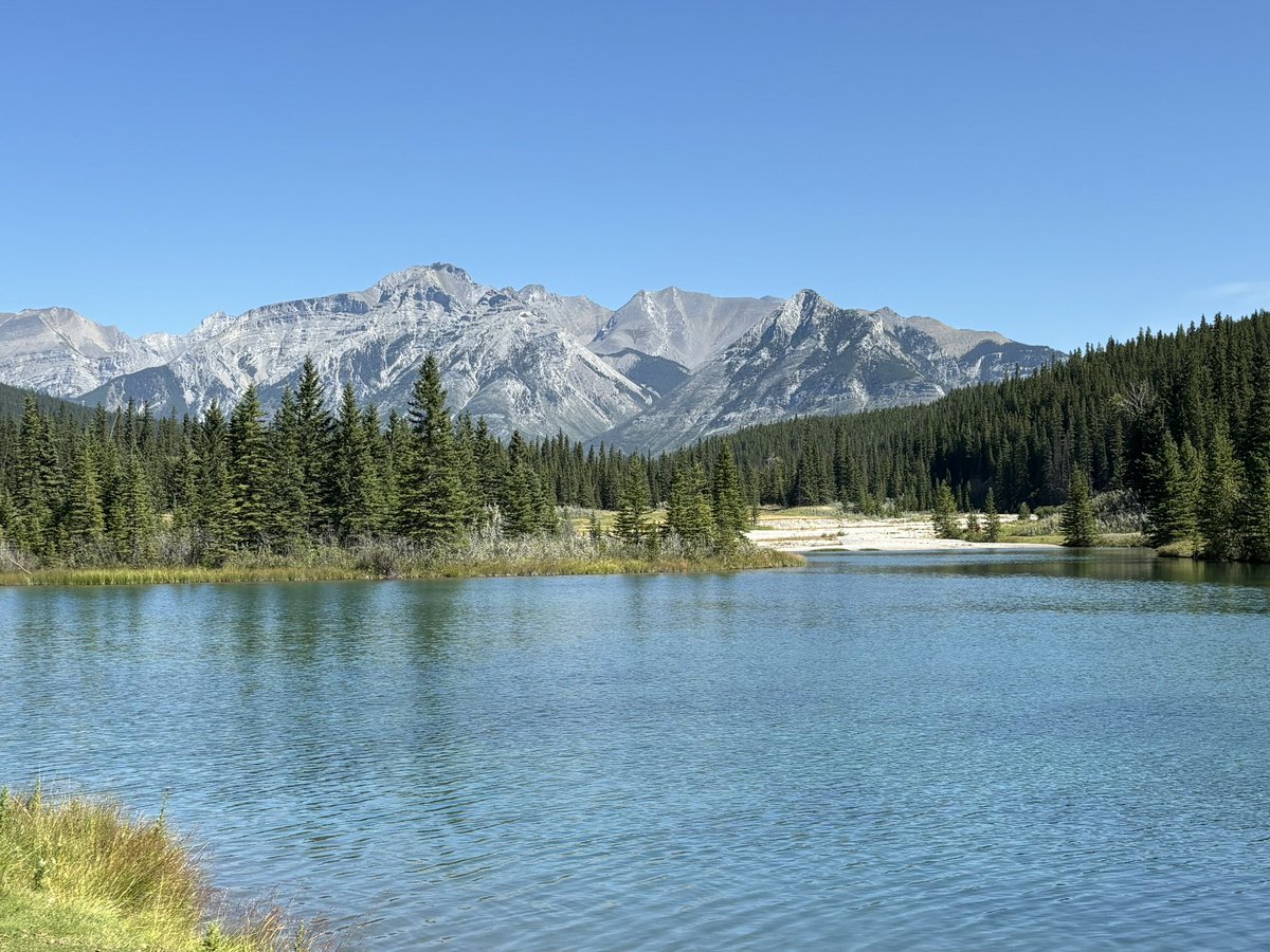 Henrique Pereira tweet media