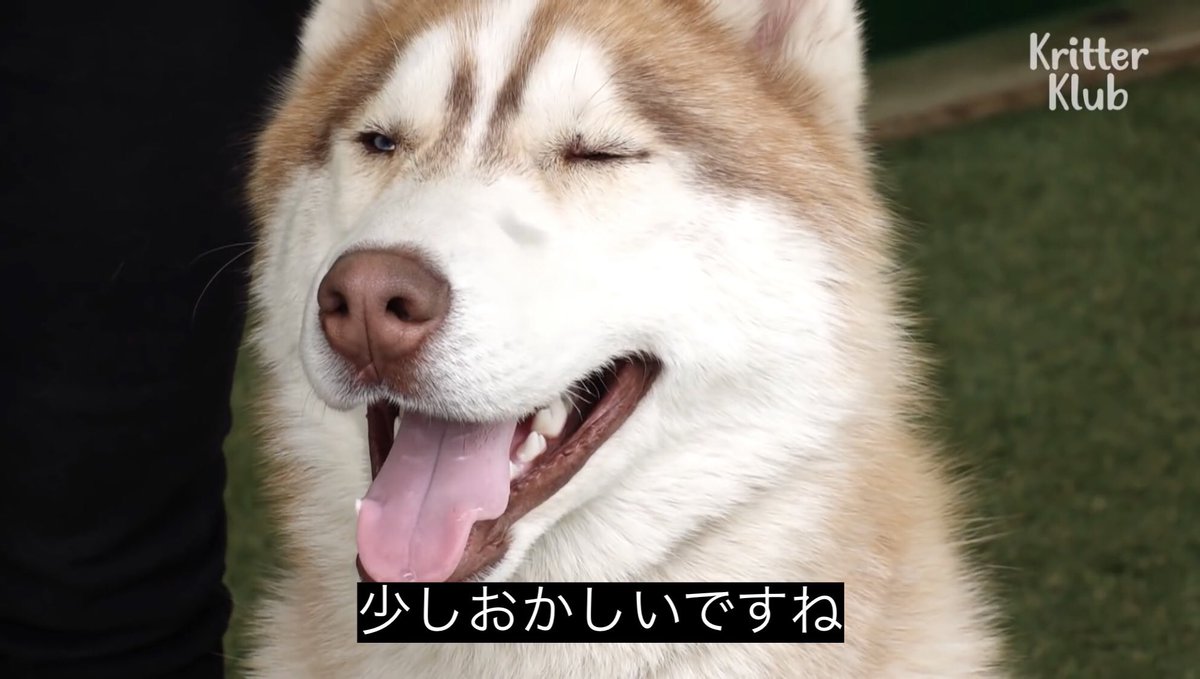 munforest_riize's tweet photo. これは聞いてない、アントンが一年で進化しすぎているちょっとかなり怖い https://t.co/G5eqLpEpBl