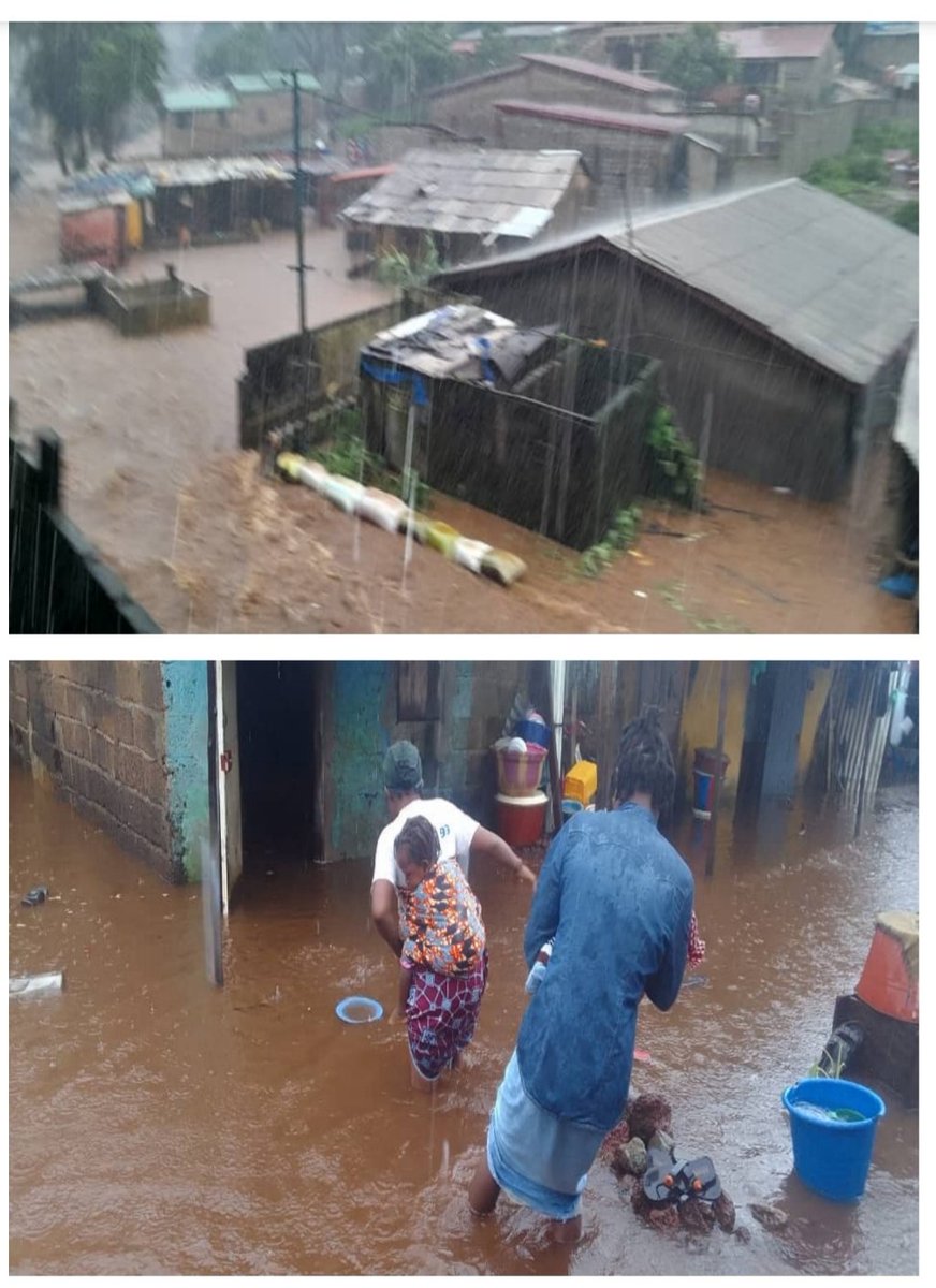 Femmes Engagées pour la Salubrité tweet media