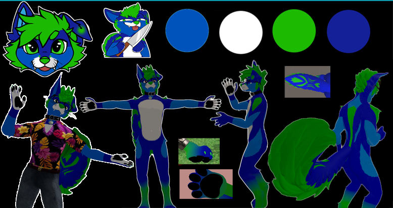 Jet The Husky tweet media