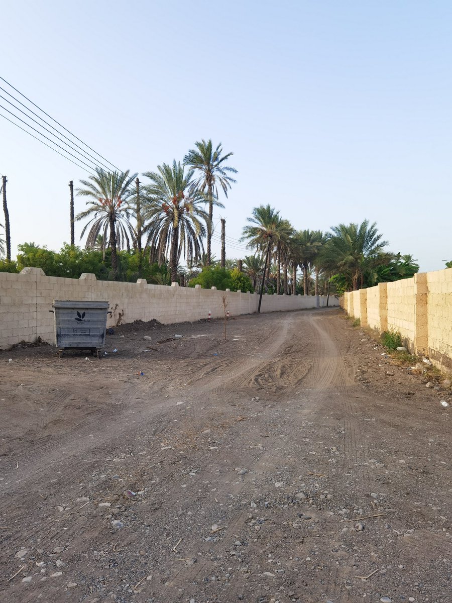 جزيل الشكر ووافر التقدير لدائرة البلدية بالسويق ممثلة بفرع البلدية بالبداية على تعاونهم المثمر في قطع الاشجار الضارة وتنظيف وكبس أحد الطرق الفرعية الداخلية مما أسهم في توسيع الطريق للمارة وسائقي المركبات والحد من تواجد وتكاثر الافاعي والحشرات السامة
@mrmwralbatinahn
