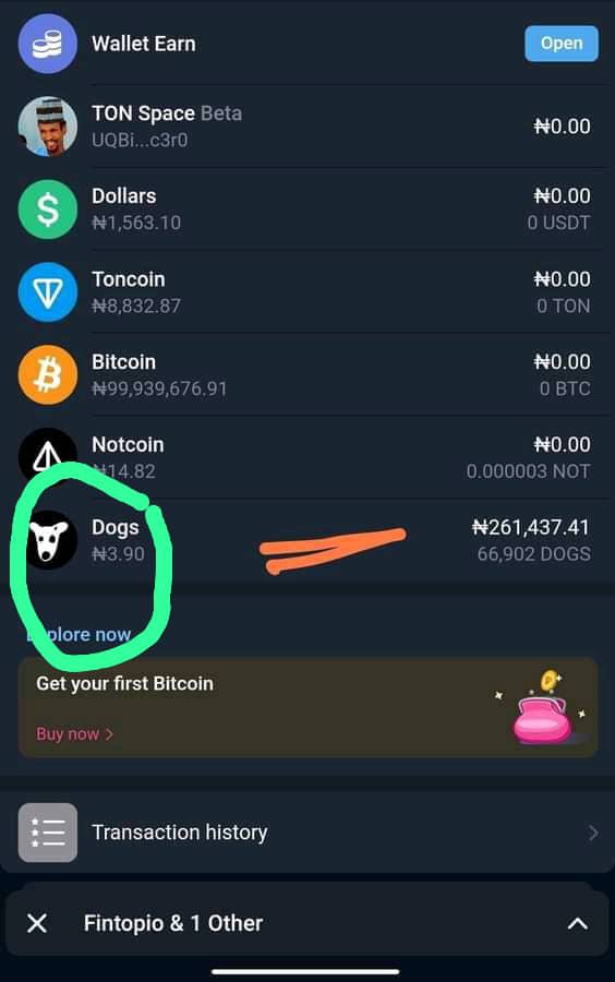 sunzilo25's tweet photo. 1 $DOGS=3.90naira 
Could we be looking at 0.0025?
Telegram wallet has give us a clue https://t.co/x3qUBbgDWK