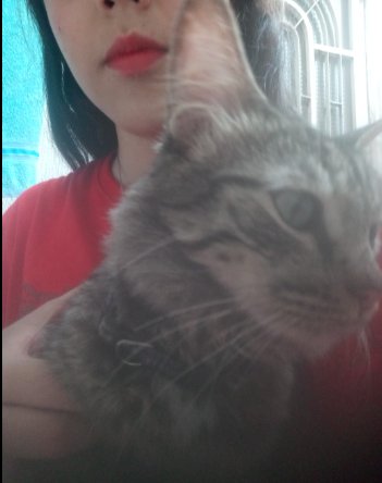 yocail's tweet photo. @twaniimals Se llama simon :v https://t.co/YX0QgbnhGw