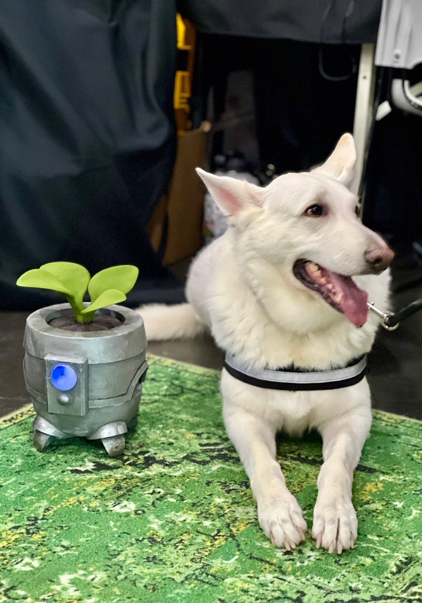 Trellis / Wishlist on Steam tweet media