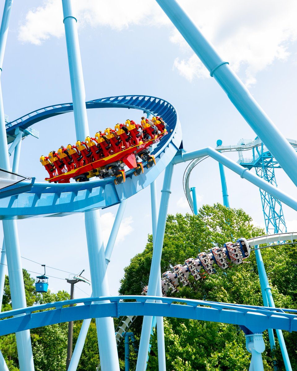 BuschGardensVA's tweet photo. B&amp;M Legend 🤝 B&amp;M Legend 🤝 Skyride 🎀 https://t.co/u4lJUoIZWr