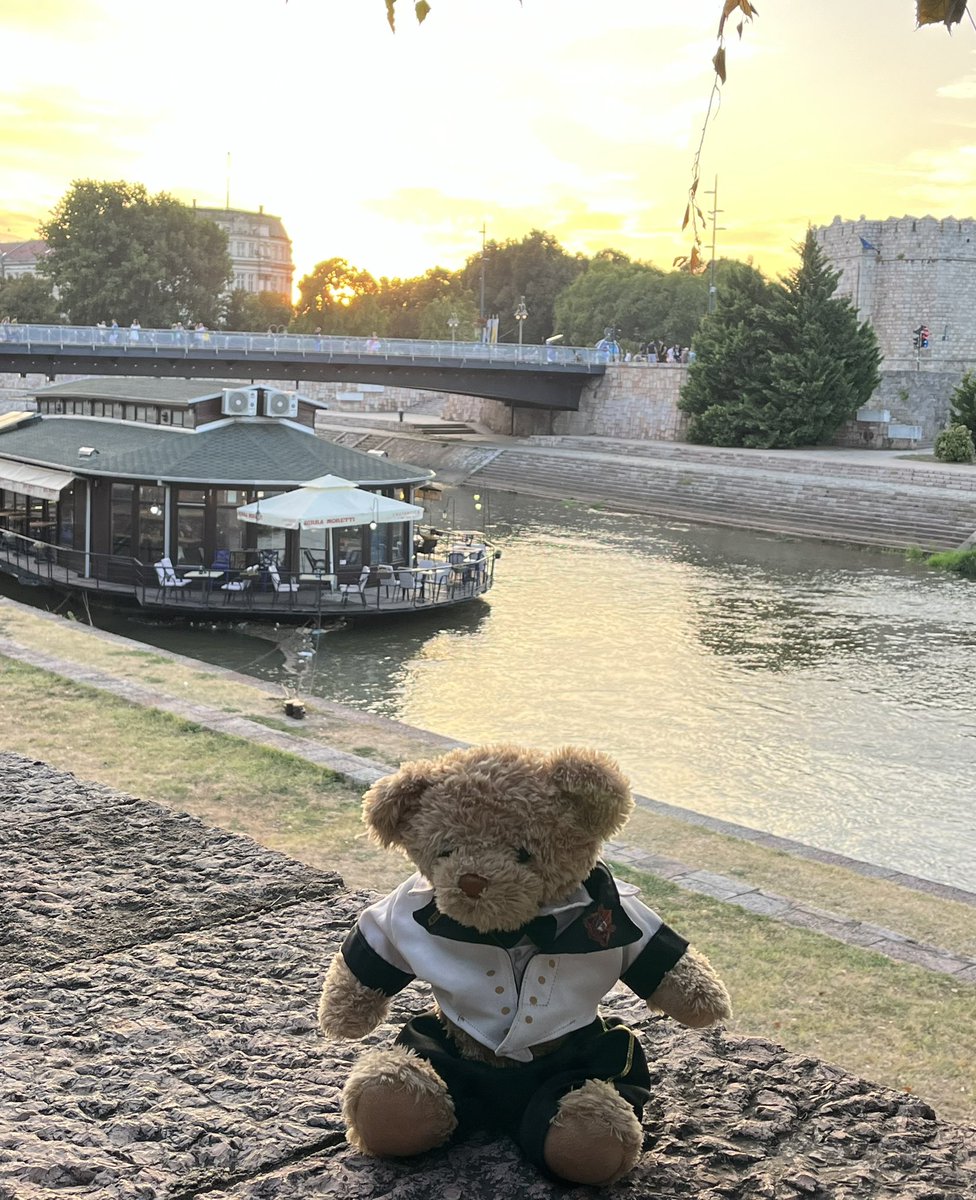 Gregman29 tweet media