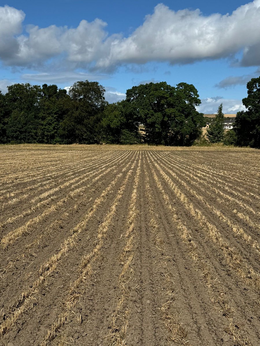 Mark Croal (@croal85) on Twitter photo Last week we set off this <a href="/HorizonAgri/">Horizon Agricultural Machinery Ltd</a> SPX Strip till cultivator with disk coulters sowing OSR with fertiliser down the leg via the FT2200 split front hopper.
Legs on 50cm disks on 17cm (adjustable)
Fertiliser trials 100% down the leg and 50/50 leg and disk - letโs see! ๐ฑ๐ฑ Last week we set off this <a href="/HorizonAgri/">Horizon Agricultural Machinery Ltd</a> SPX Strip till cultivator with disk coulters sowing OSR with fertiliser down the leg via the FT2200 split front hopper.
Legs on 50cm disks on 17cm (adjustable)
Fertiliser trials 100% down the leg and 50/50 leg and disk - letโs see! ๐ฑ๐ฑ