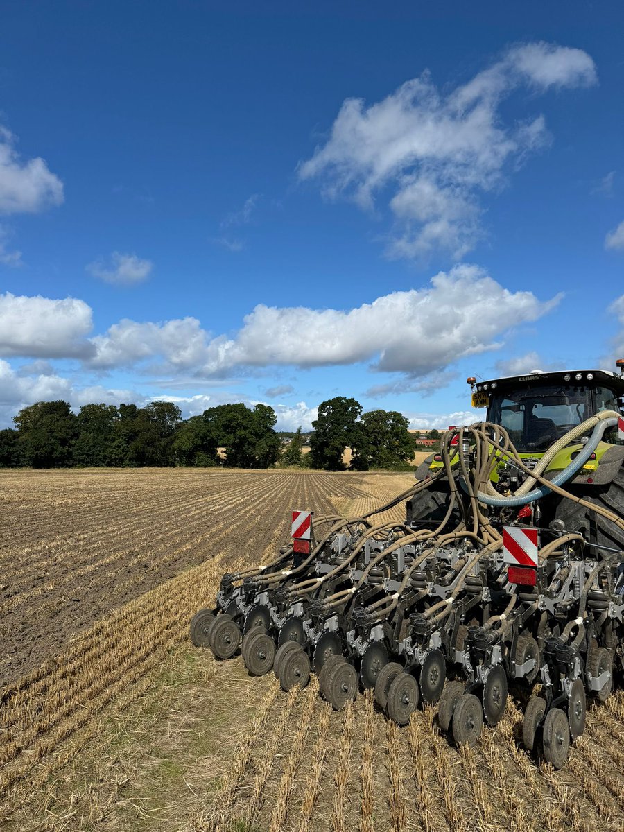 Mark Croal tweet media