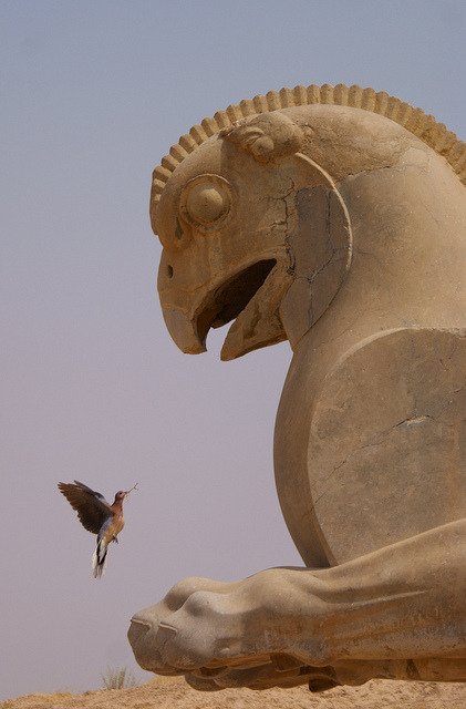 Persepolis, Iran 🕊️