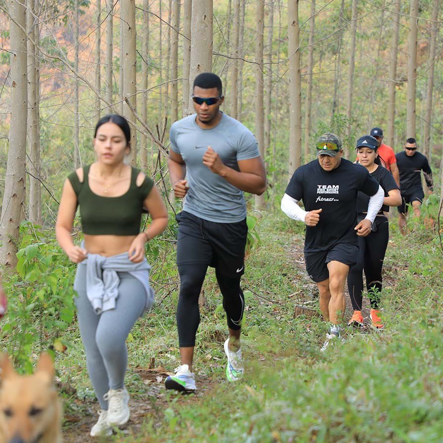 Gobernación del Cauca tweet media