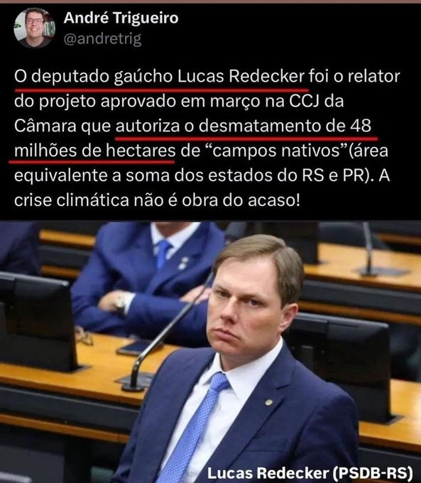 🎗Dilma Resistente (@dilmaresiste) on Twitter photo 