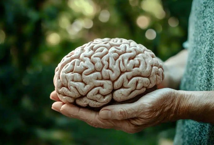 Blocking a #Brain Pathway Reverses Memory Loss in Alzheimer’s #Neurology #Neuroscience #Brainhealth @Stanford Posted by @enilev