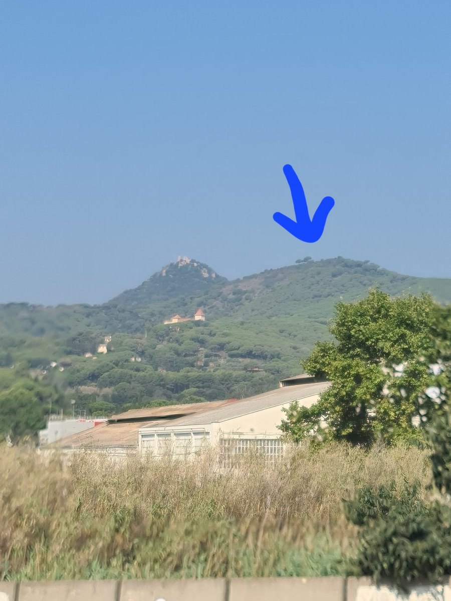 Desiul01's tweet photo. Vista de Cabrera a Burriac y de Burriac a Mataró, y un 🌳 chupando cámara. https://t.co/Nyjak0fxG8