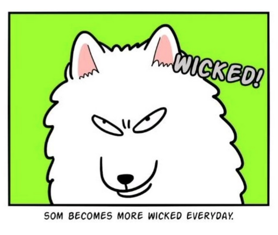 gideon nav bot tweet media