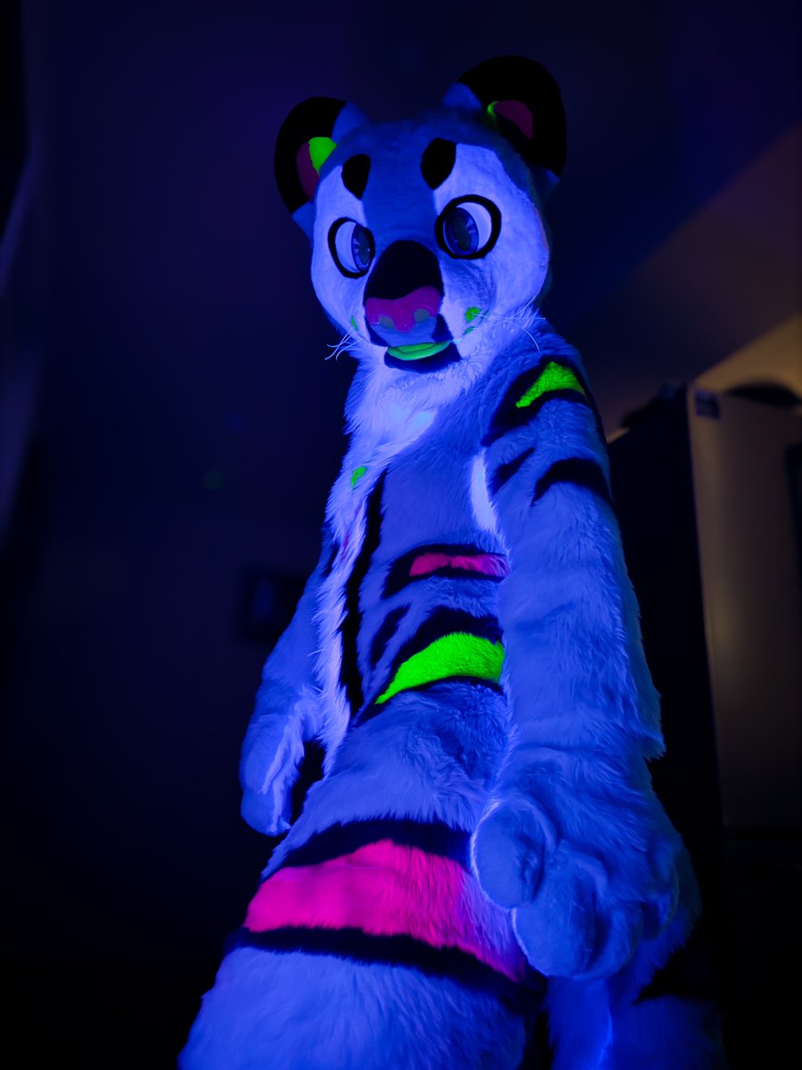 👾Spaz🪐 tweet media