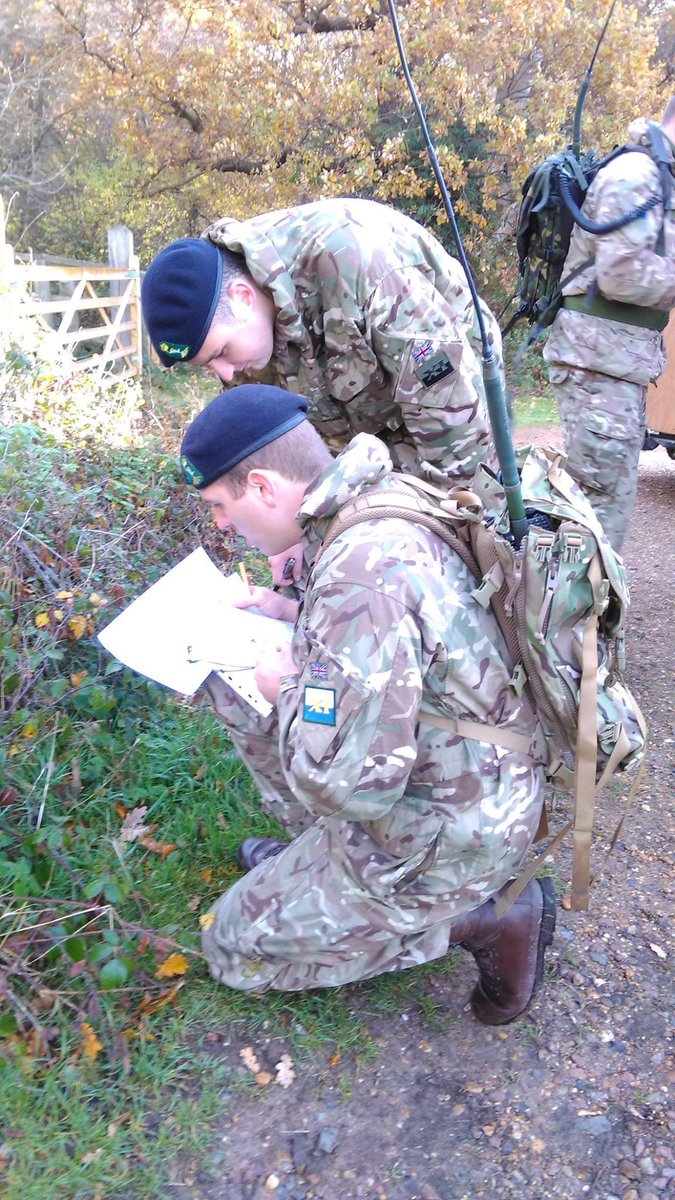 Terry👨🏻💻 tweet media