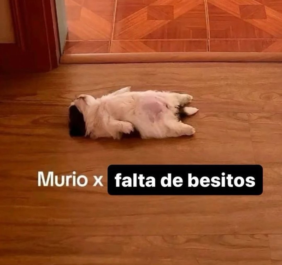 En Júpiter (@en_jupiter_) on Twitter photo 