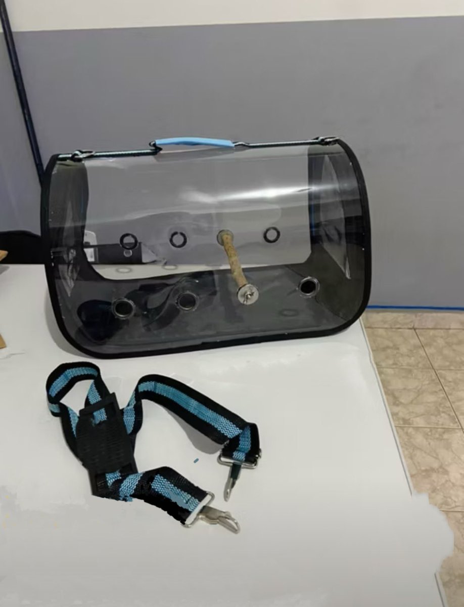 calopsitas_mans's tweet photo. Bolsa de transporte para calopsitas 
Disponível link da bio https://t.co/acH4rBPk0b