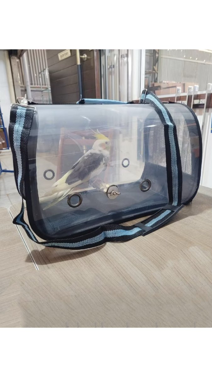 calopsitas_mans's tweet photo. Bolsa de transporte para calopsitas 
Disponível link da bio https://t.co/84viXHTvgW