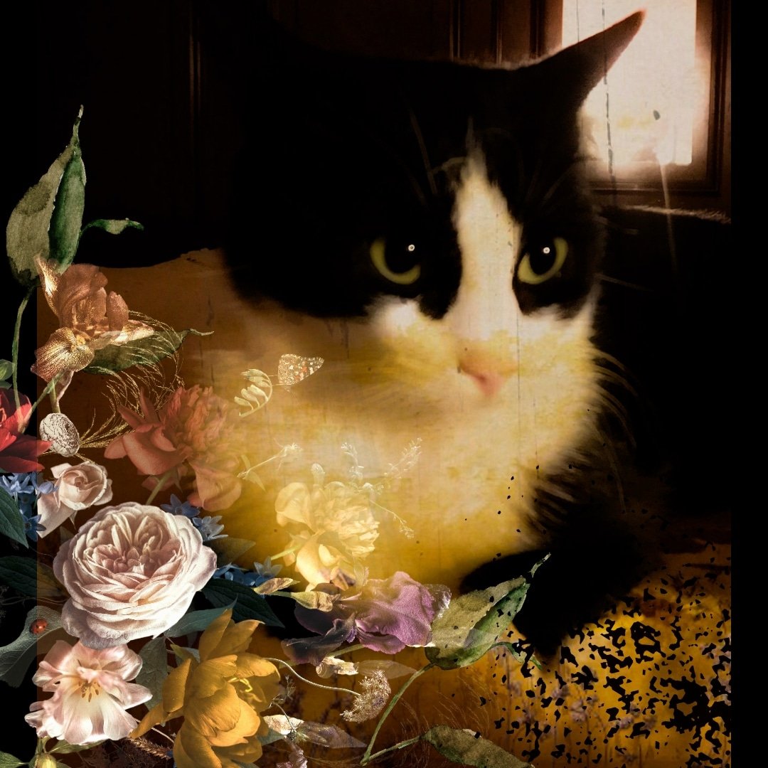 imkumiku's tweet photo. #photoshopexpress
#adobeexpress https://t.co/M1MtTQ77uW