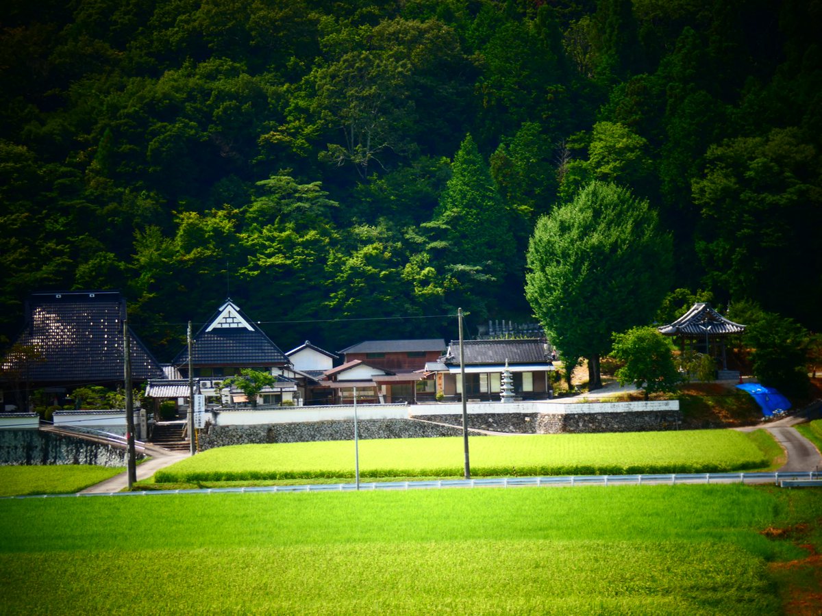 cobng's tweet photo. おはようございます(*ᴗ ᴗ)⁾⁾

少し秋めいた風景

今週は台風🌀に悩まされてそうですね。
早めに対策をして　被害が出ませんように。
今週もよろしくお願いします🙇‍♀️ https://t.co/KCkaul95o9