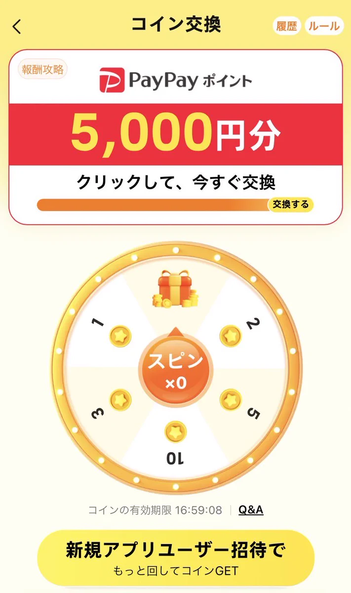 temu paypay 招待
