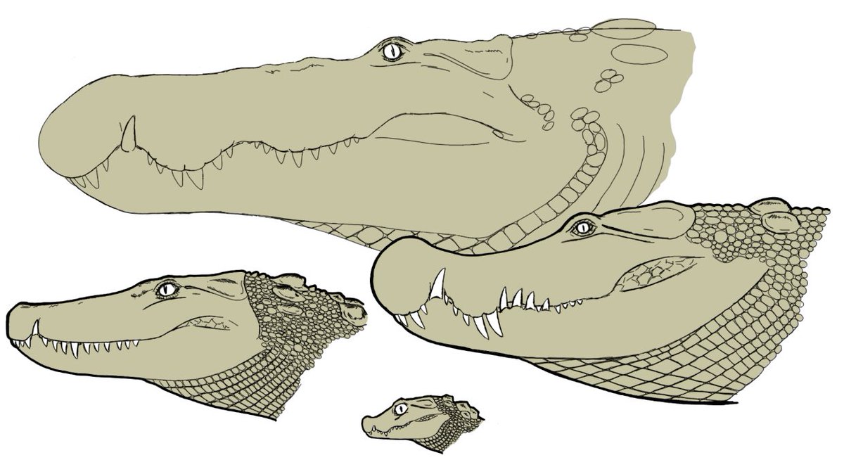 I don't often do digital but here's a little Work in Progress
bonus points for those that recognize all the taxa