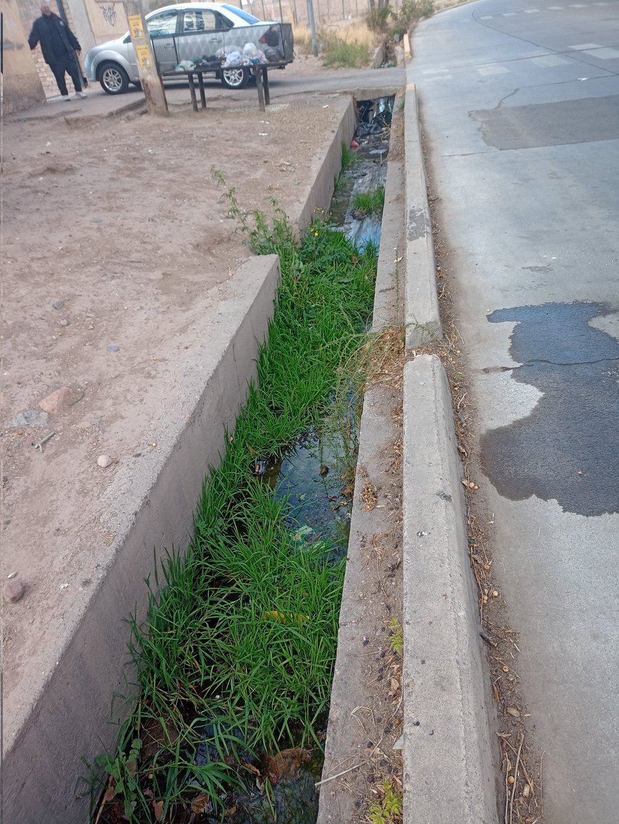 Maritemar77's tweet photo. @lopresti_lh  este pequeño canal que está sobre la calle bajada de Arrollaves y continúa por calle san Rafael es un verdadero desastre y foco de contaminación y colección de insectos. Qué espera señor intendente para hacer algo? https://t.co/YwFWbpsztj