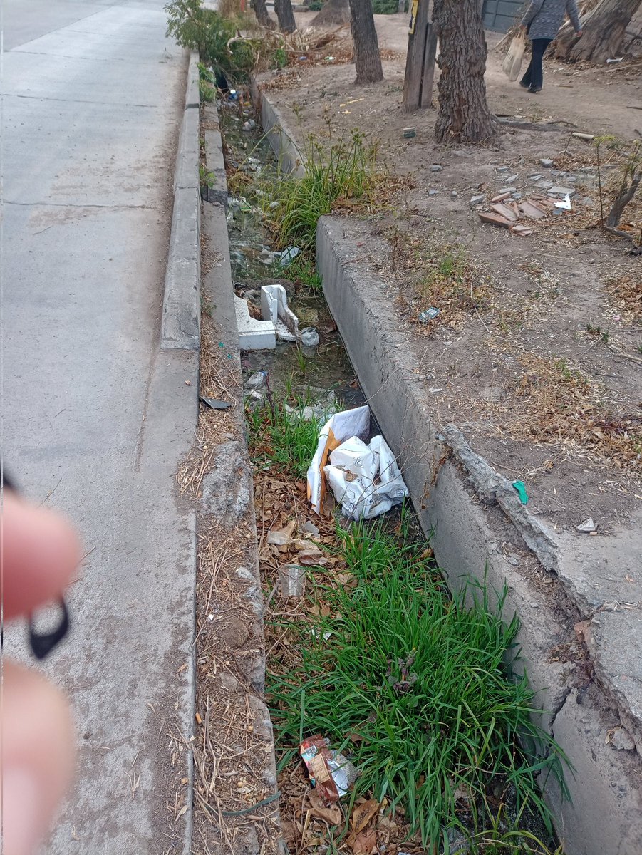 Maritemar77's tweet photo. @lopresti_lh  este pequeño canal que está sobre la calle bajada de Arrollaves y continúa por calle san Rafael es un verdadero desastre y foco de contaminación y colección de insectos. Qué espera señor intendente para hacer algo? https://t.co/YwFWbpsztj