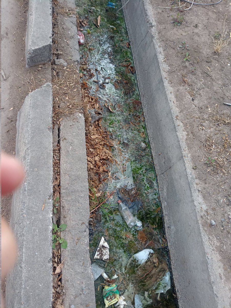 Maritemar77's tweet photo. @lopresti_lh  este pequeño canal que está sobre la calle bajada de Arrollaves y continúa por calle san Rafael es un verdadero desastre y foco de contaminación y colección de insectos. Qué espera señor intendente para hacer algo? https://t.co/YwFWbpsztj
