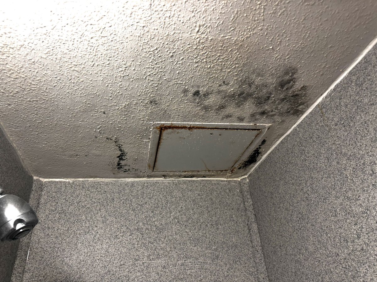 LoriMills4CA42's tweet photo. 🚨🚨🚨🚨🚨🚨! 
My son is a Marine and I do not expect a 5 star hotel for him. He was assigned a barrick at Camp Pendleton that which has a written notice “DO NOT OCCUPY!” obviously due to mold, peeling the paint, which due to the age of the building would contain asbestos and lead paid. After 4 days in this building he became very ill. 
He will be coming home tomorrow but these conditions are not safe nor healthy. Our troops deserve better and if we can give BILLIONS to Ukraine we should be putting American Troops for first! 
Please confirm you see this. 
Please share! 
@EliseStefanik @mrddmia