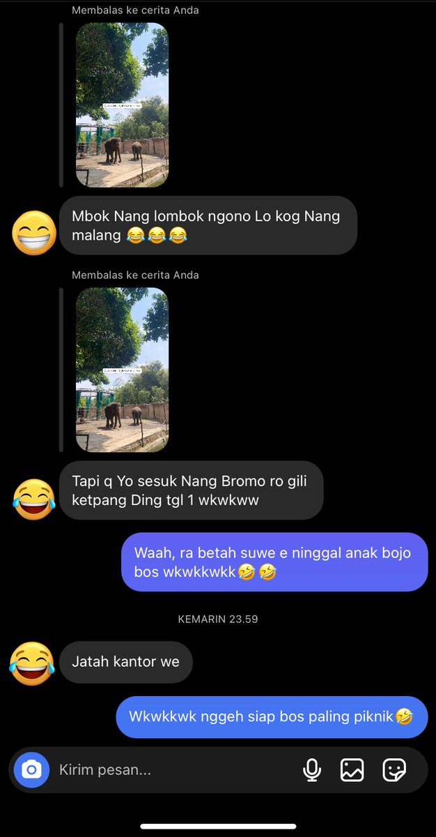 Lucu nek iki wkwkwkk🤣🤣