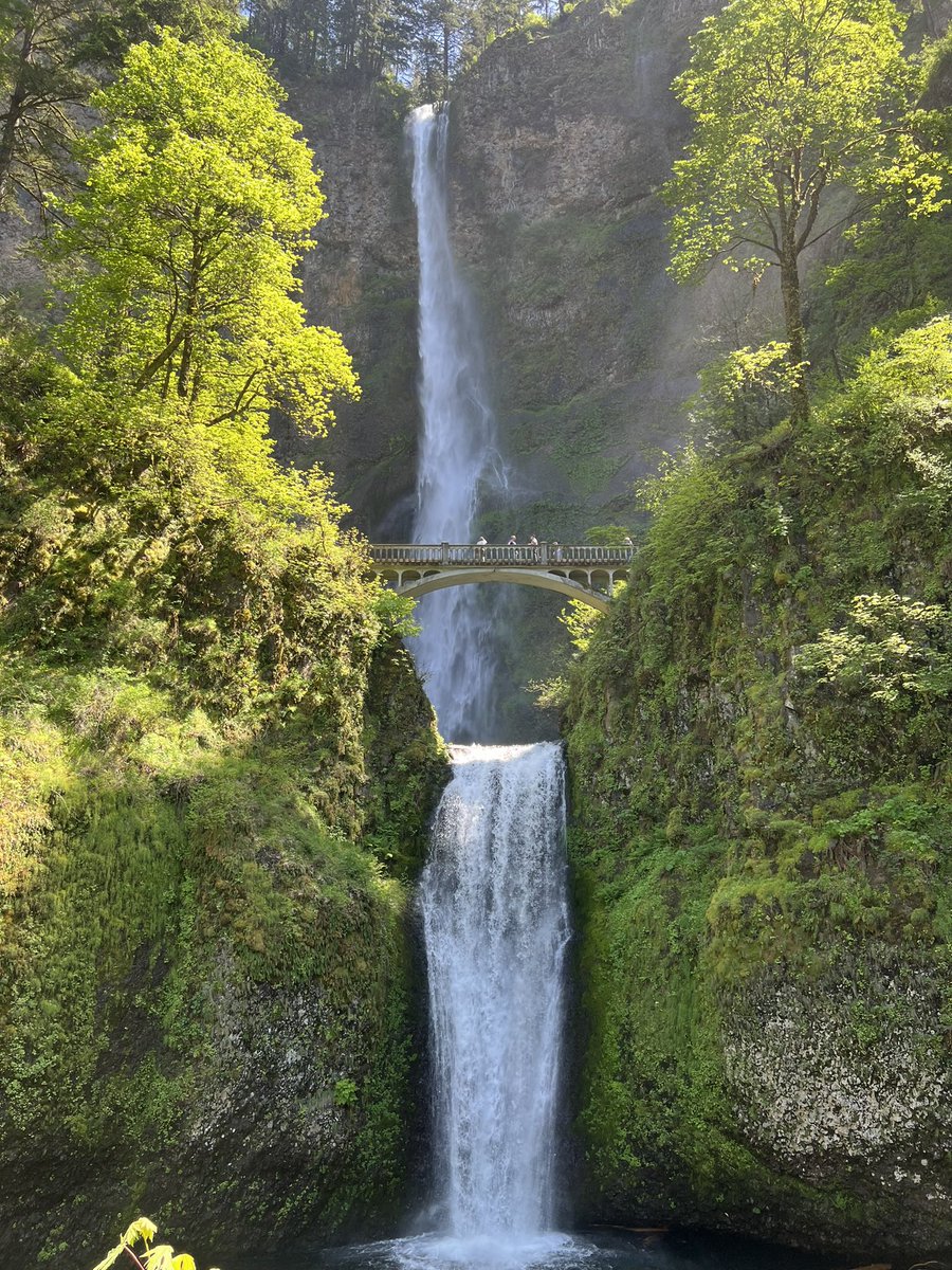 حكيم tweet media