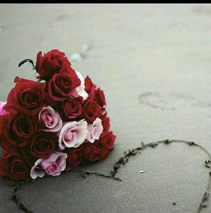 💎﮼وايلية 💎  tweet media