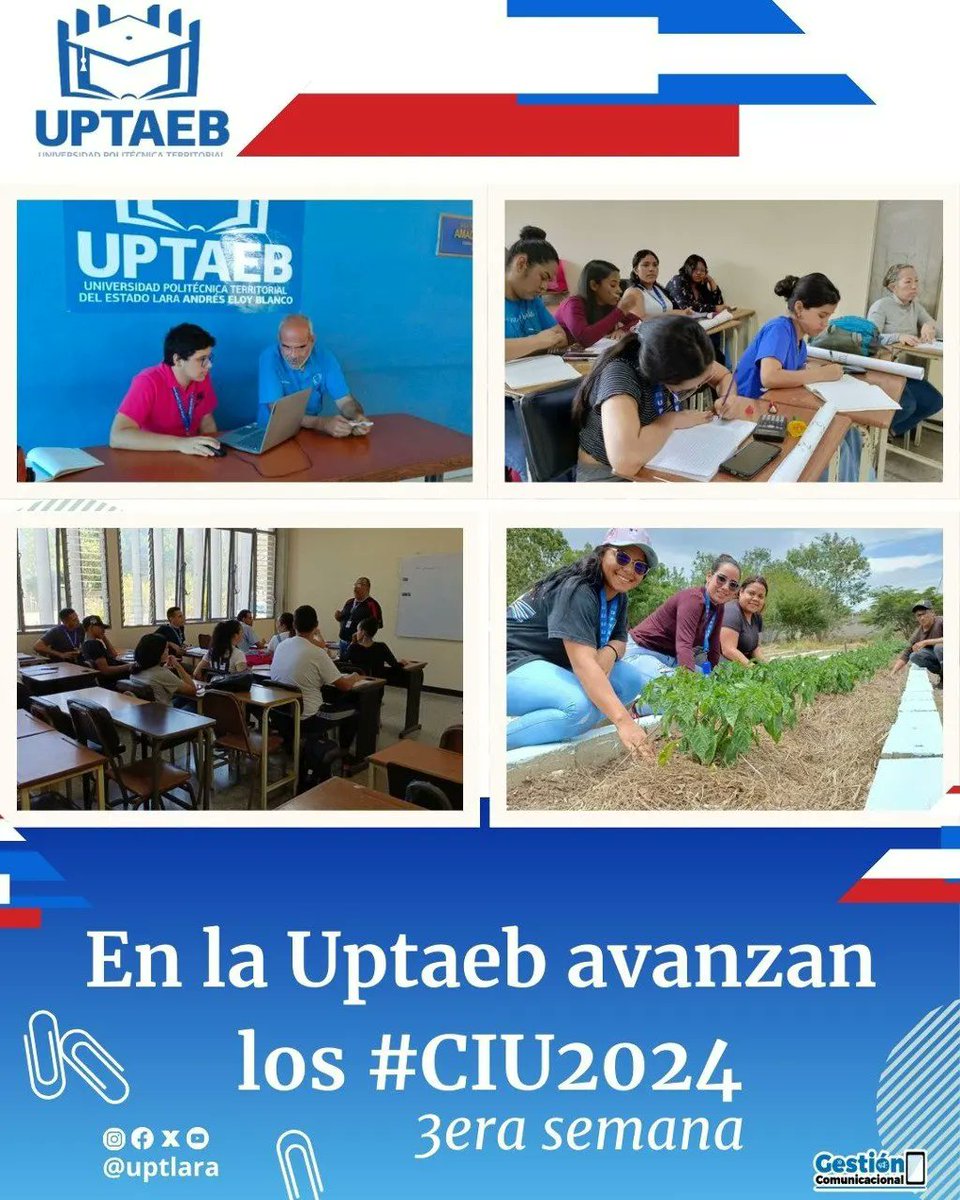 Uptlara tweet media