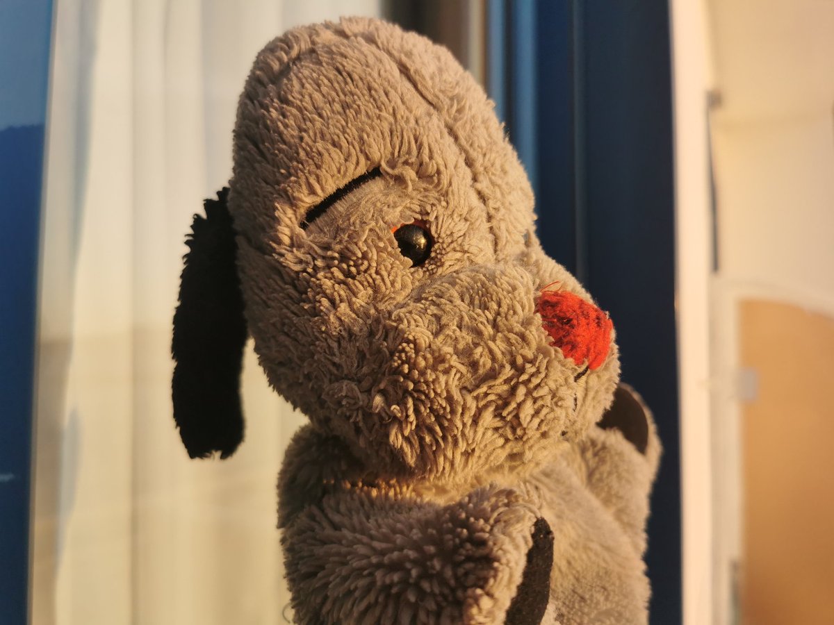 tismenic70's tweet photo. Hellooo 👋 👋
#SweepOutAndAbout #SweepOnHoliday #Italia
enjoying the sunset.

Wishing you a wonderful Sunday evening 🌃 https://t.co/DWJ6Izmtf0