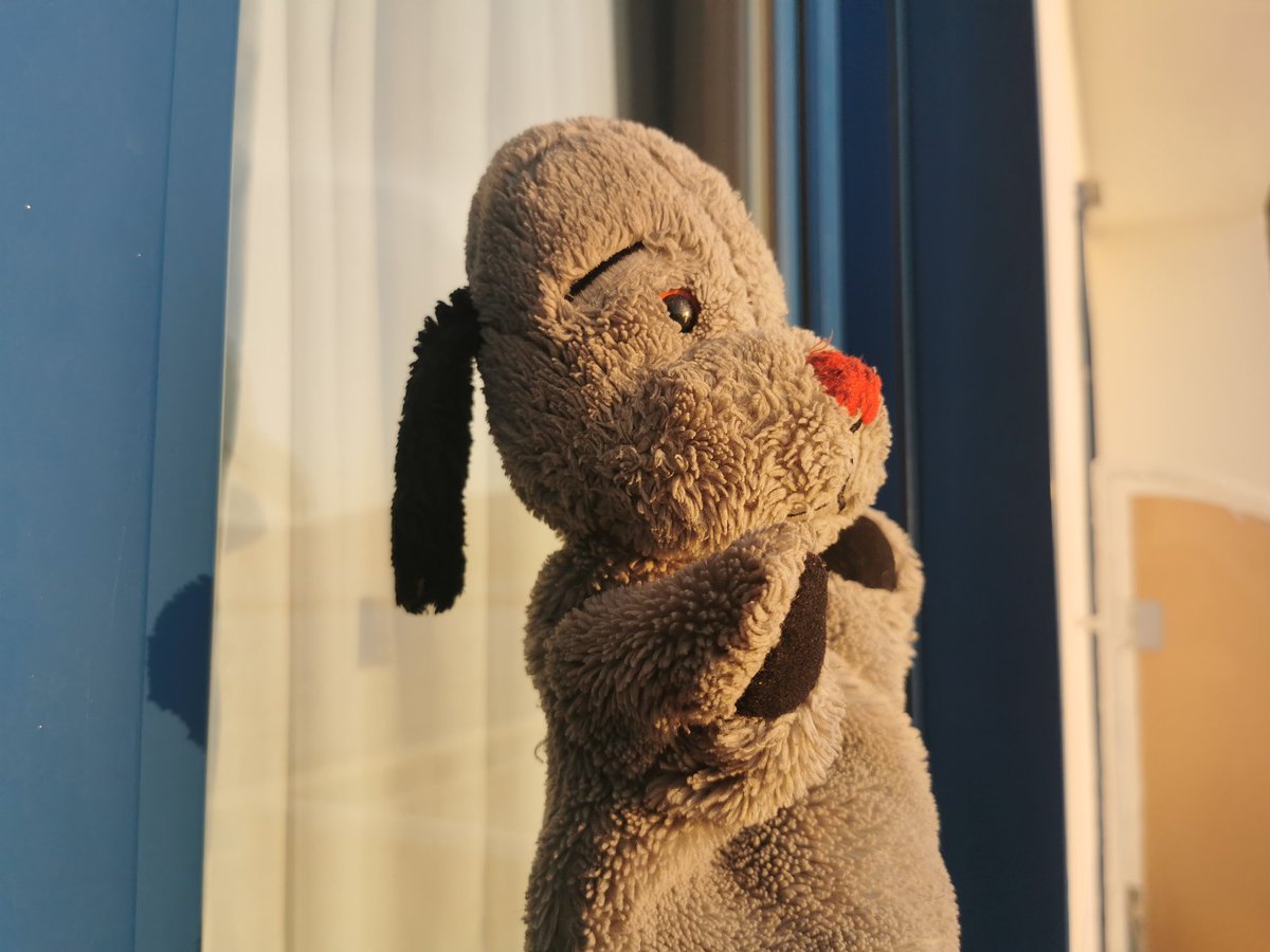 tismenic70's tweet photo. Hellooo 👋 👋
#SweepOutAndAbout #SweepOnHoliday #Italia
enjoying the sunset.

Wishing you a wonderful Sunday evening 🌃 https://t.co/DWJ6Izmtf0