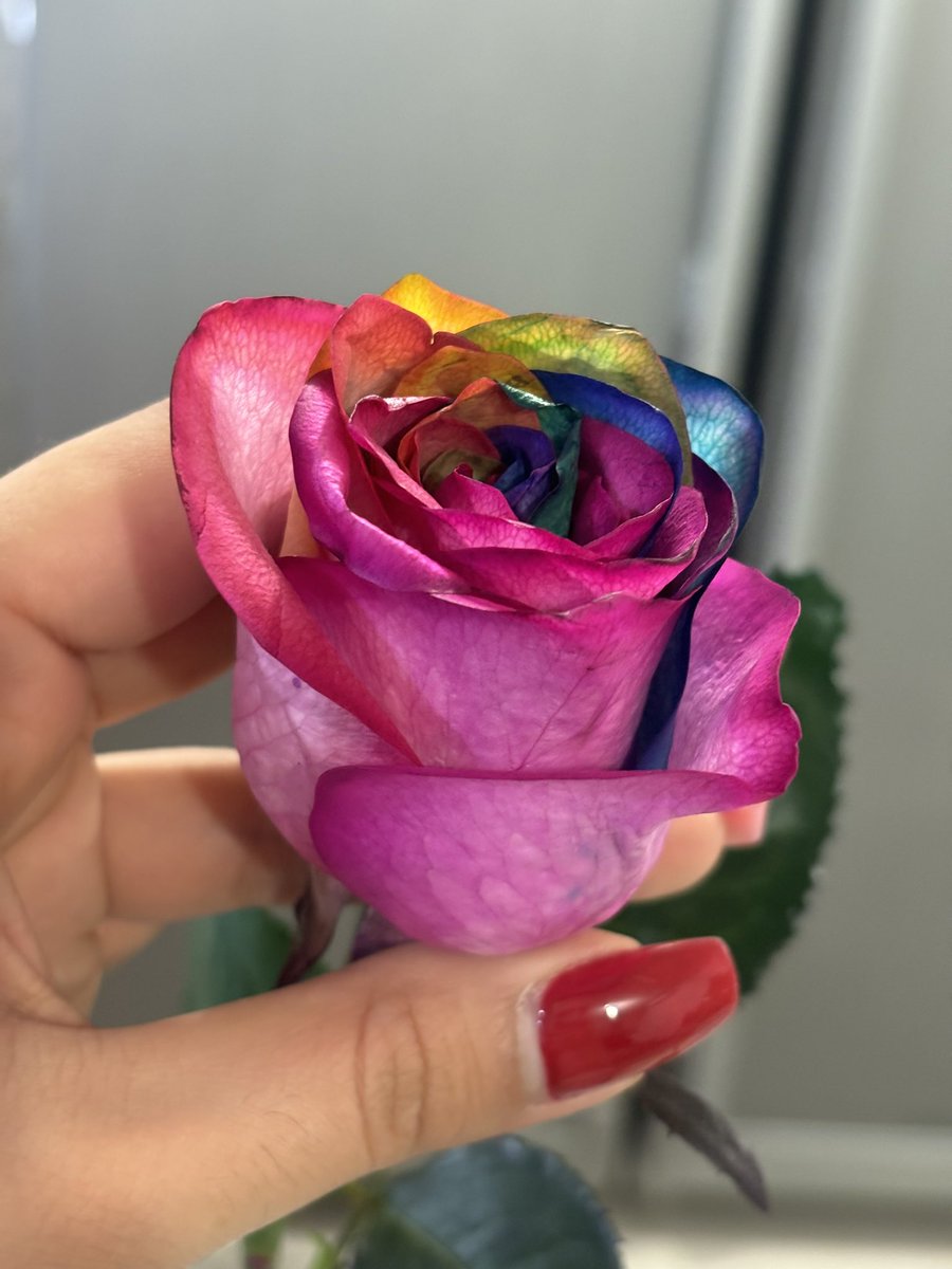 از باشگاه که برگشت اینو برام گرفته بود، براش نمیرم؟
#همسر_جانم