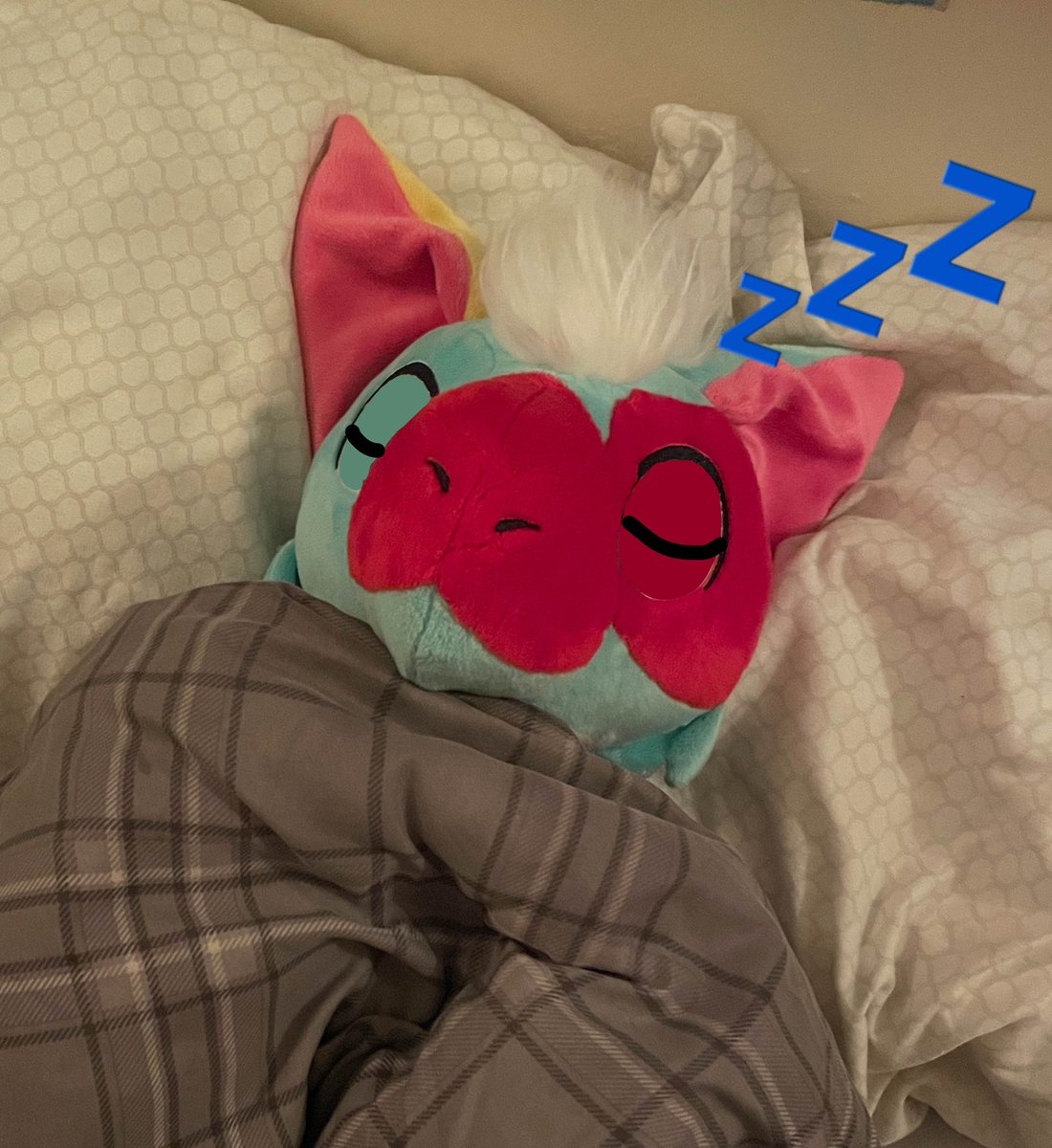 Kangazeroo's tweet photo. Poly plush appreciate post ❤️💛🩵

Hand made by @Shibe_Bun https://t.co/N8Z7Afwbp9