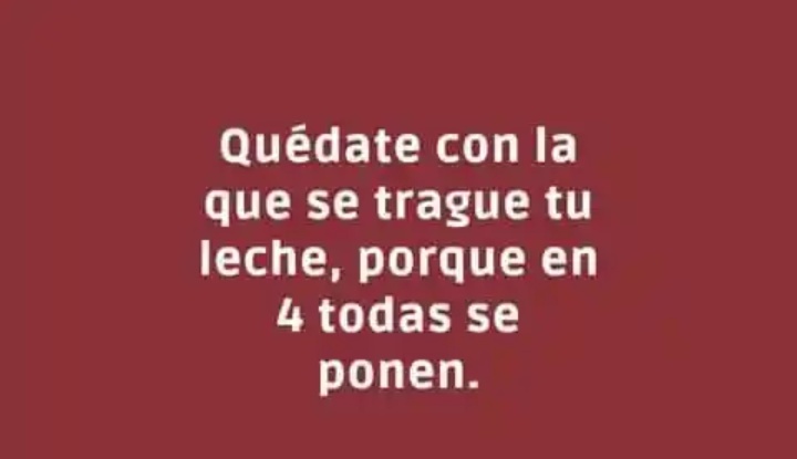 Gato cubano🥵🇨🇺 tweet media