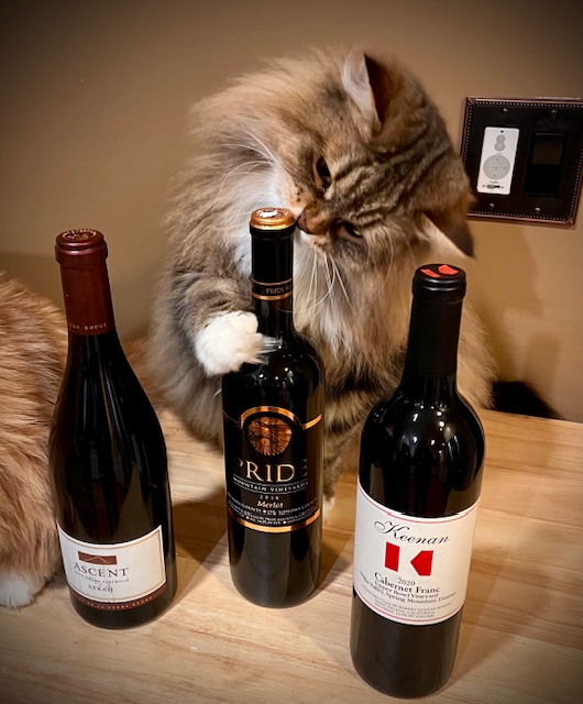 Pride Wines tweet media