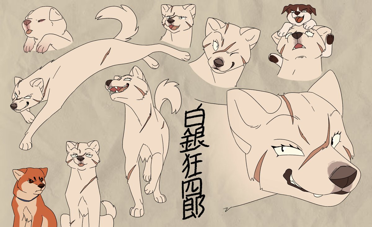 Kyoshiro + kishu study