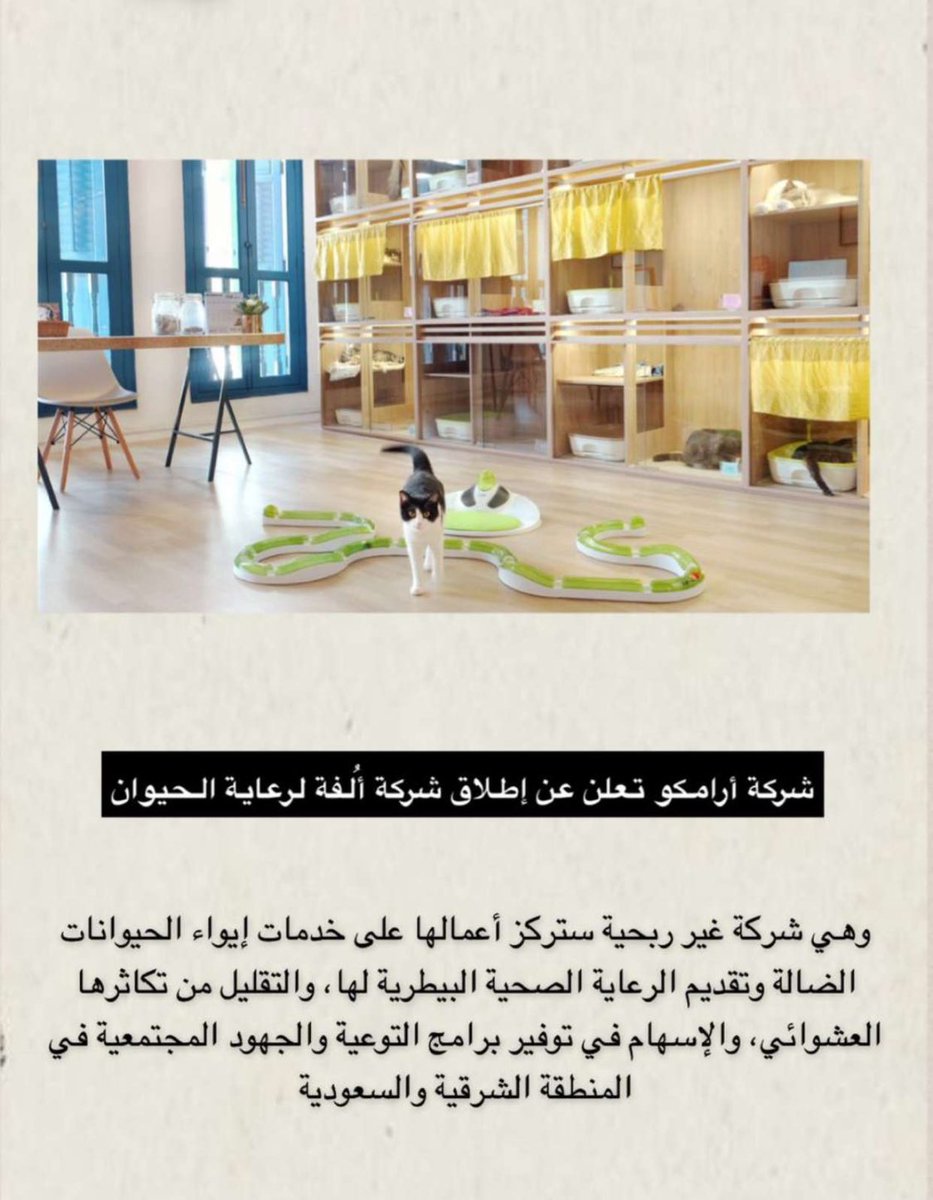 k74leo's tweet photo. شركة #ارامكو #السعودية تطلق شركة باسم أُلفه لرعاية الحيوان.
من مهام الشركة  إيواء الحيوانات المتخلى عنها و تقديم الرعاية الطبية لهم.
و التقليل من التكاثر العشوائي.
بالإضافة لبرامج التوعية المجتمعية
هل سنرى بقية الشركات و البنوك تحذو حذو الرائدة أرامكو؟ 
شكرا أرامكو "السعودية" https://t.co/D3latwZLv9