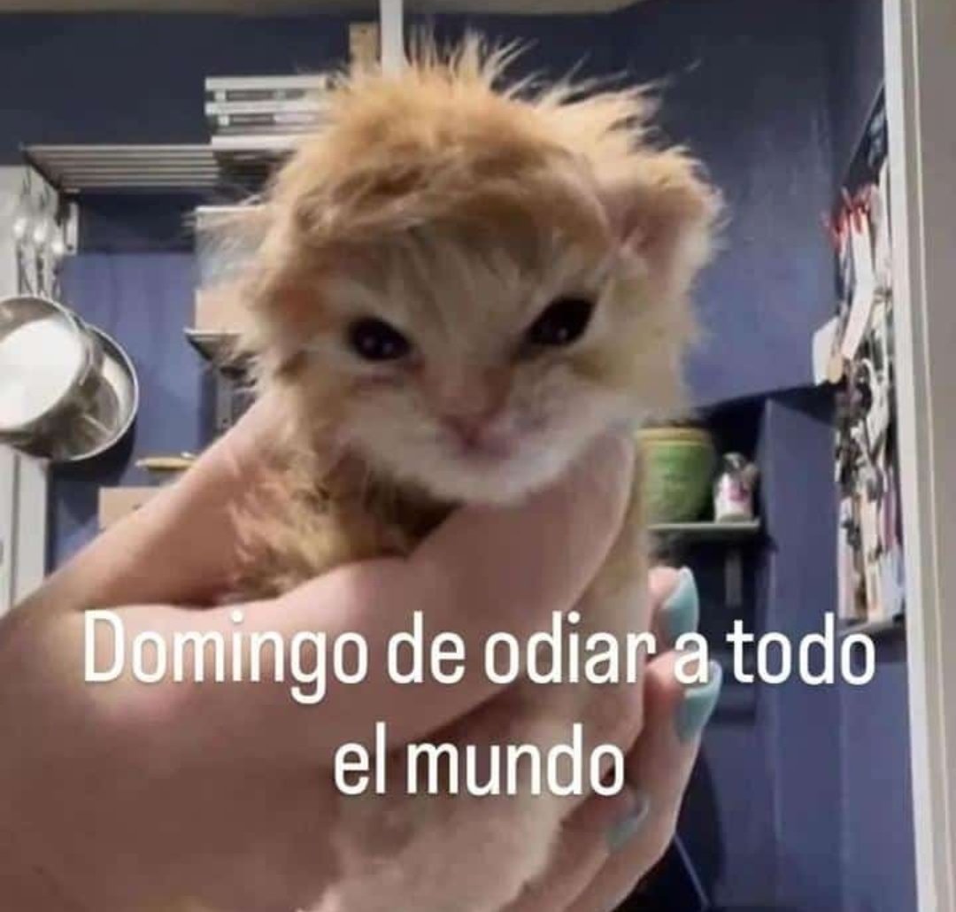 En Júpiter (@en_jupiter_) on Twitter photo 