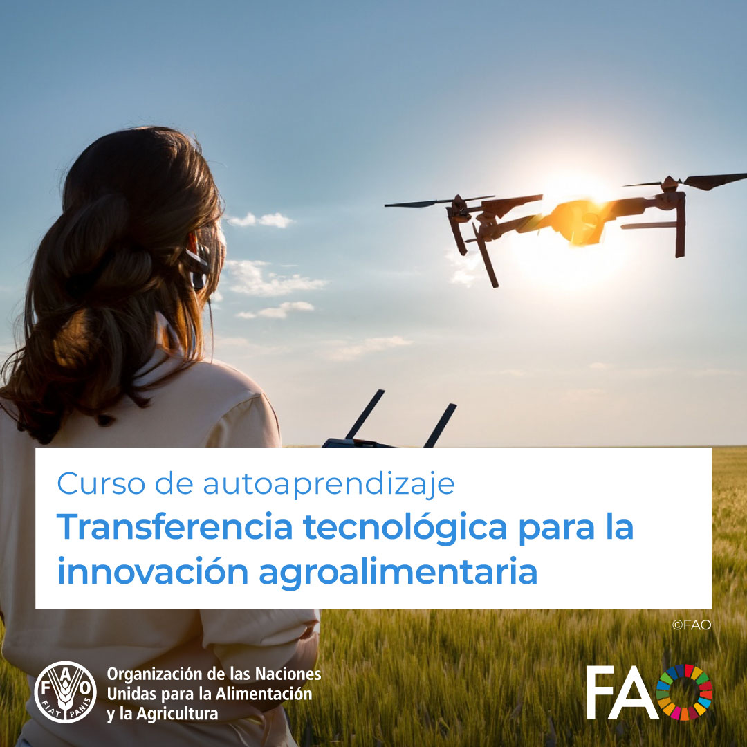 FAO Colombia (@fao_colombia) on Twitter photo 🎓 Curso gratuito en <a href="/FAOCampus/">FAO Campus - America Latina y el Caribe</a>
📱 Transferencia tecnológica para la innovación agroalimentaria💡
Descubre los desafíos para la generación de impacto a partir de la investigación y el apoyo de fondos públicos.
¡Matricúlate! ➡️ bit.ly/3rUMAMk
<a href="/FAO/">Food and Agriculture Organization</a> <a href="/FAOAmericas/">FAO Américas</a> 🎓 Curso gratuito en <a href="/FAOCampus/">FAO Campus - America Latina y el Caribe</a>
📱 Transferencia tecnológica para la innovación agroalimentaria💡
Descubre los desafíos para la generación de impacto a partir de la investigación y el apoyo de fondos públicos.
¡Matricúlate! ➡️ bit.ly/3rUMAMk
<a href="/FAO/">Food and Agriculture Organization</a> <a href="/FAOAmericas/">FAO Américas</a>