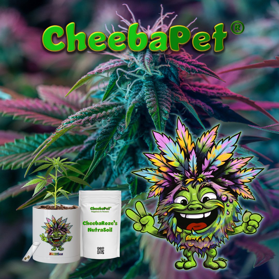 CheebaPet's tweet image. What are you growing on your windowsill? CheebaPet is taking over the windowsills of America! One plant at a time! Check them out now at: CheebaPet.com #CheebaPet