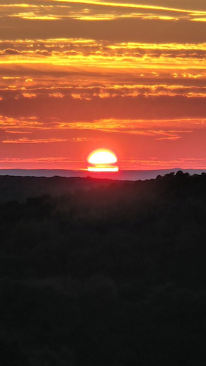 Kemal Kremic (@kemalkremic) on Twitter photo 