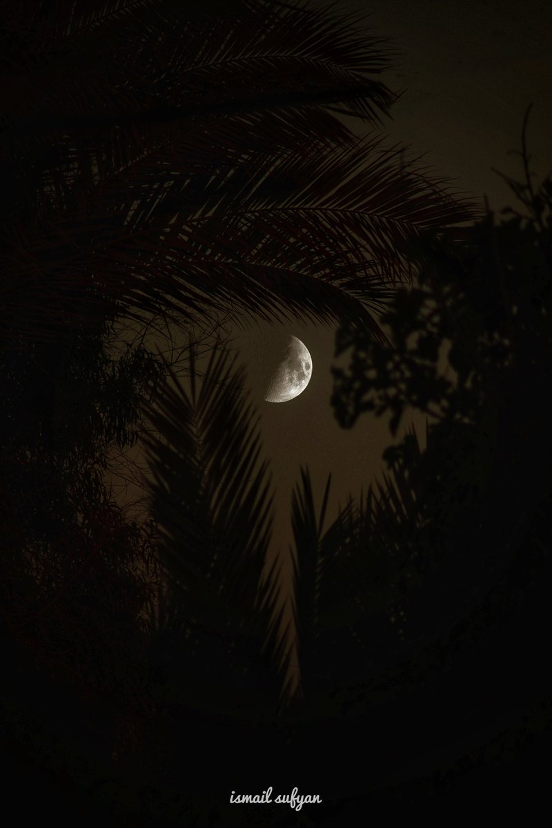 Ismail Sufian🇵🇸🍉 (@ismailsufian2) on Twitter photo the moon ✨💗 the moon ✨💗